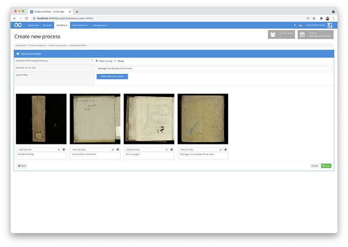 Damage documentation while creating processes in Goobi